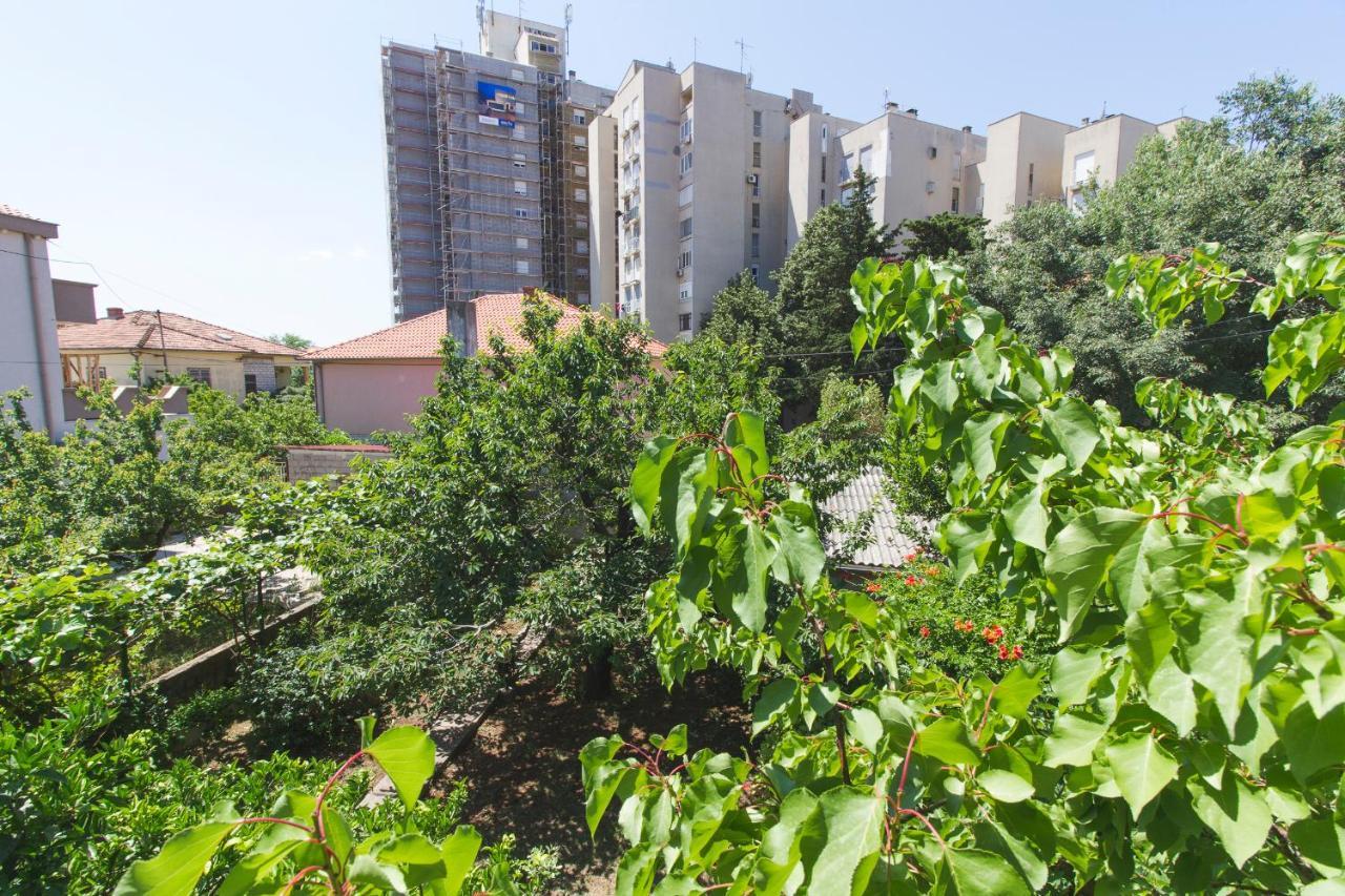 Apartman Andrijana Zadar Dış mekan fotoğraf